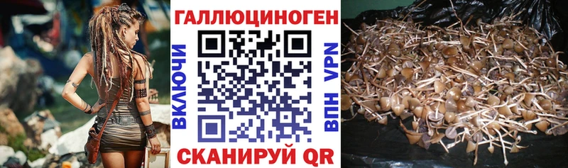 Псилоцибиновые грибы мухоморы  сайты даркнета формула  Павловская  сколько стоит 